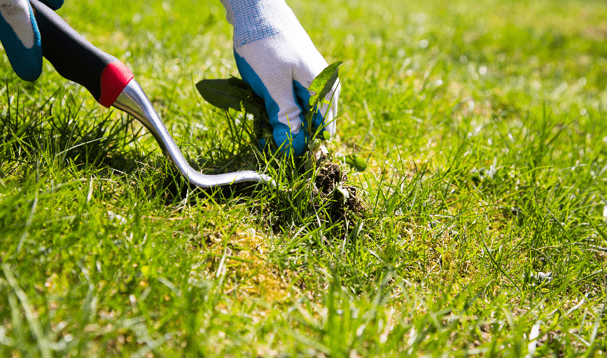 FRESHFEEL TURF